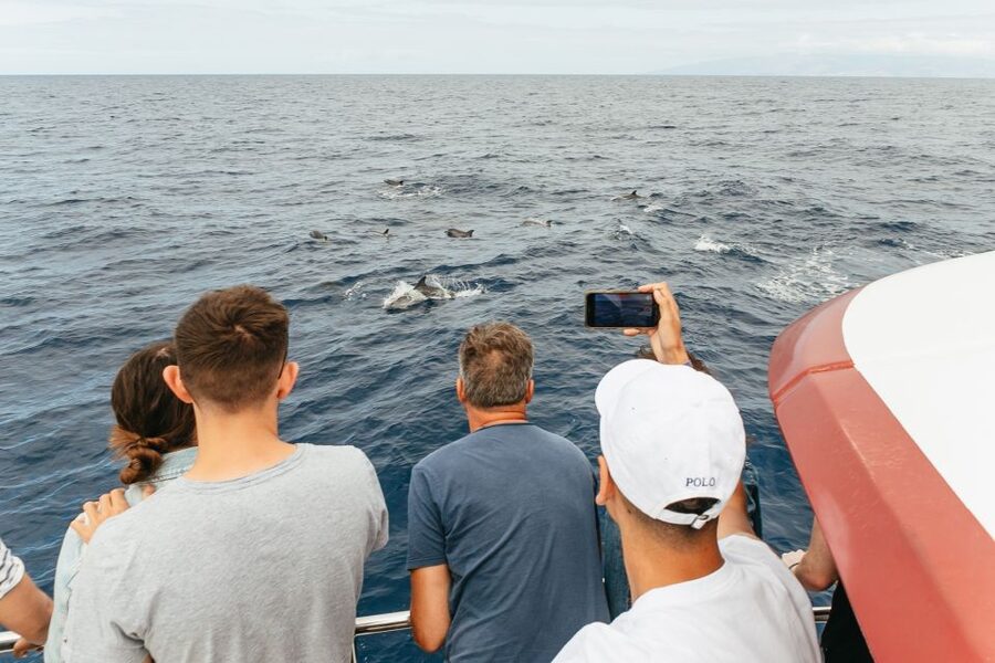 Costa Adeje: Whale & Dolphin Submarine Vision Mini Cruise - Viewpoint Cruising and the 30-Minute Photo Moment