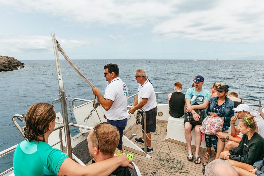 Costa Adeje: Whale & Dolphin Submarine Vision Mini Cruise - Should You Book This Whale & Dolphin Submarine Vision Cruise?