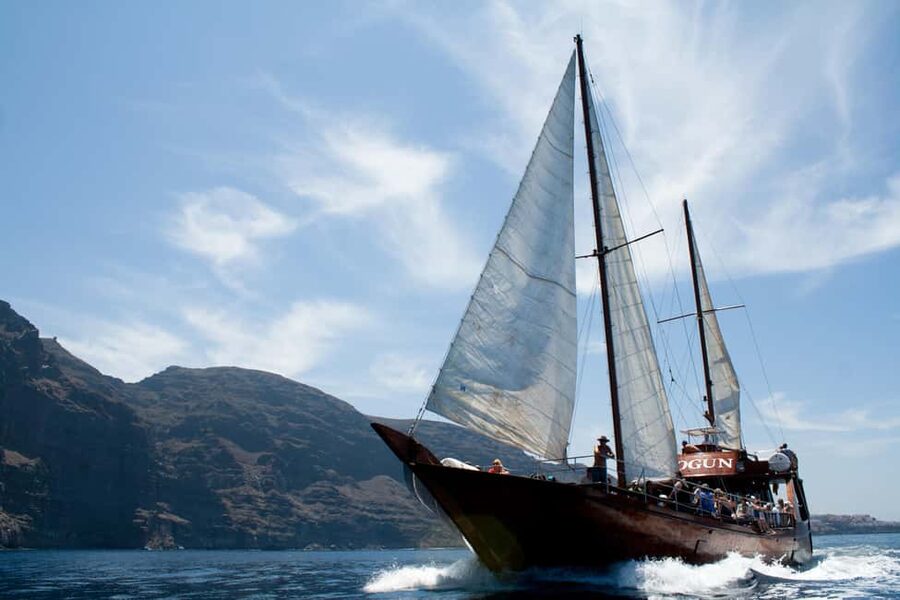 Costa Adeje: Whale & Dolphin Watching Cruise with Swim - Boarding the Shogun at Colon Harbour, Pier 14