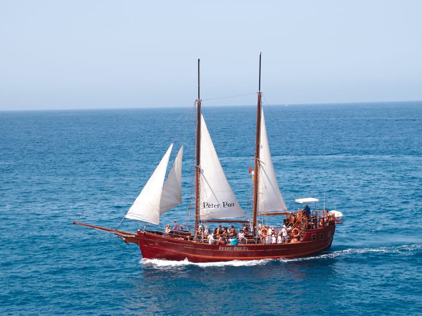 Costa Adeje: Whale & Dolphin Watching Cruise with Swim - Whale and dolphin spotting: pilot whales, dolphins, and more