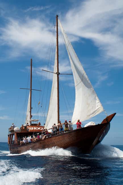 Costa Adeje: Whale & Dolphin Watching Cruise with Swim - What the sailing is like on the Atlantic side of Tenerife