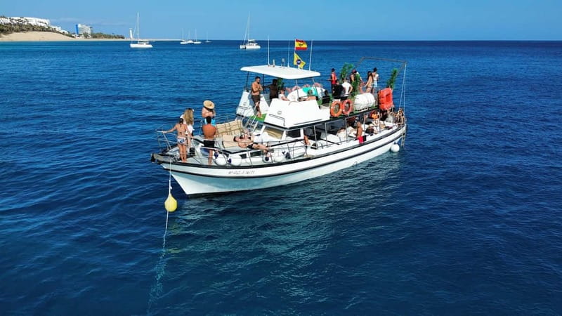Costa Calma: Fuerteventura Dolphin Watching Boat Tour - How the captain improves your odds (and what to watch for)