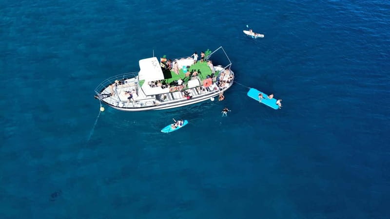 Costa Calma: Fuerteventura Dolphin Watching Boat Tour - Snorkeling equipment included: how to think about it