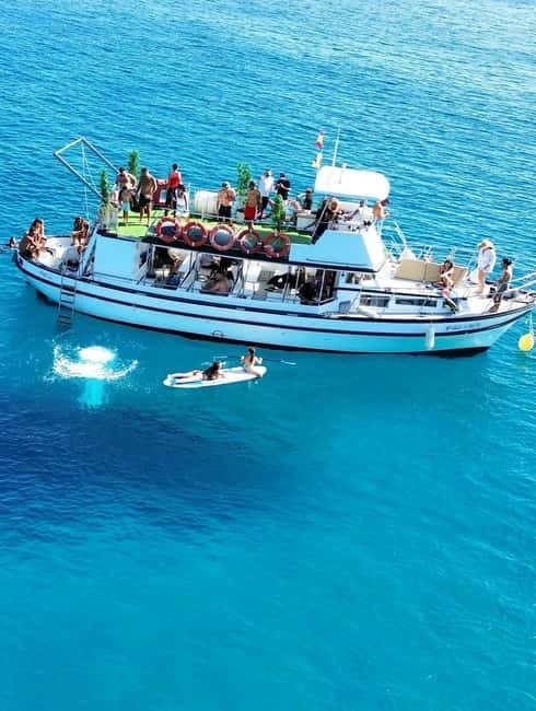 Costa Calma: Fuerteventura Dolphin Watching Zodiac Boat Tour - Key highlights worth getting excited about