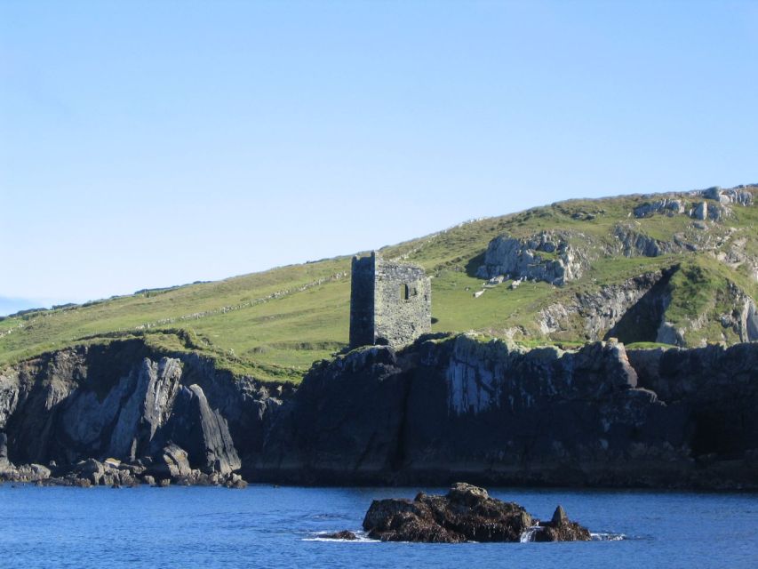 County Cork: Whale & Dolphin Watching Boat Trip - Getting To Baltimore’s North Pier and Finding the Yellow Boat