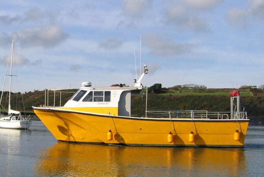 County Cork: Whale & Dolphin Watching Boat Trip - The Value Question: Is This $51 Wild-Ocean Time a Good Deal?