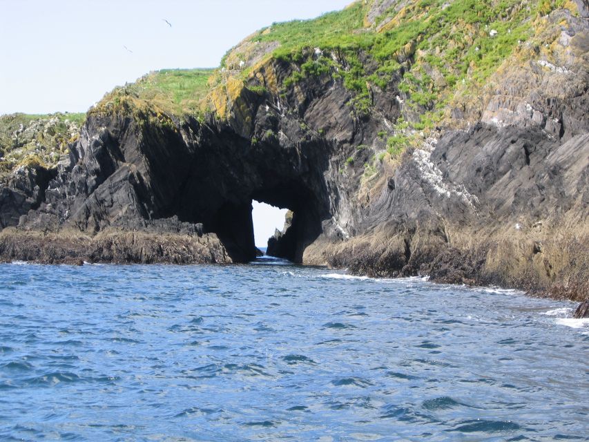 County Cork: Whale & Dolphin Watching Boat Trip - What to Bring (So You Don’t Spend the Trip Cursing the Wind)