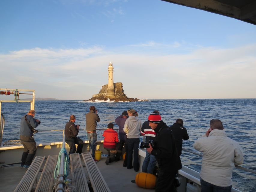 County Cork: Whale & Dolphin Watching Boat Trip - Who This Trip Fits Best—and Who Should Skip It