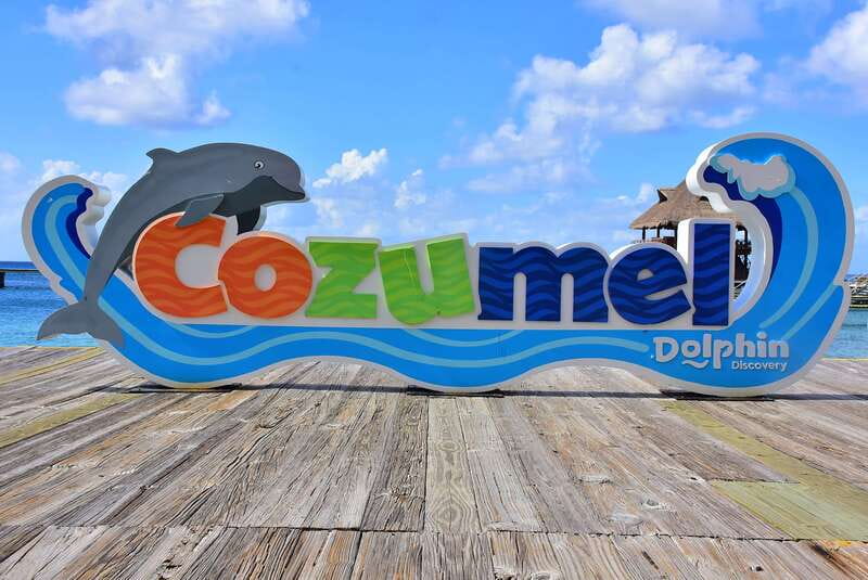Cozumel: Dolphin Royal Connection and Manatee Interaction - Dolphin Royal Swim in Cozumel: what that 40-minute program feels like
