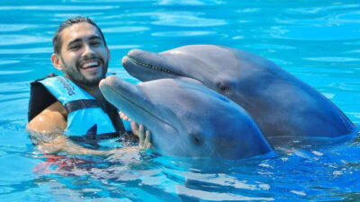 Cozumel: Dolphin Royal Connection and Manatee Interaction - The must-know dolphin rules: no cameras, no sunscreen, and a real height cutoff