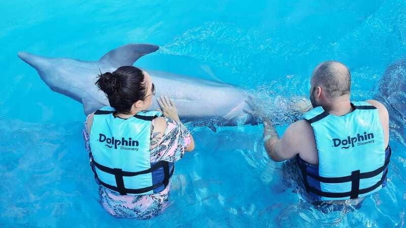 Cozumel: Dolphin Royal Connection and Manatee Interaction - Chankanaab Park after dolphins: nature time built into the same day