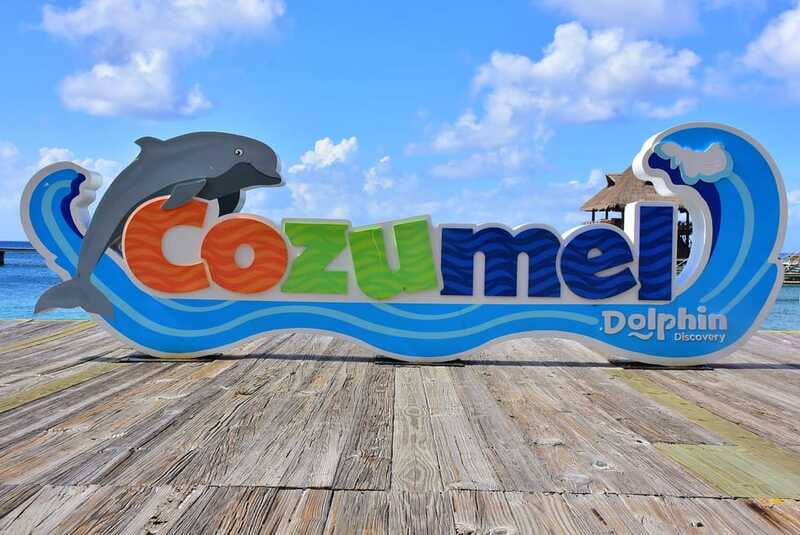 Cozumel: Dolphin Royal Connection and Manatee Interaction - Price and extras: does $135 per person make sense?