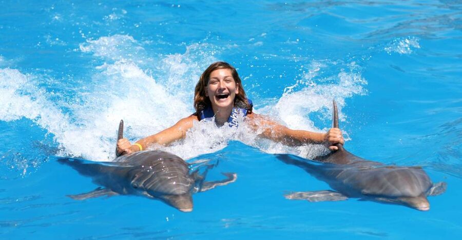 Cozumel: Dolphin Royal Connection and Manatee Interaction - A reality check: your expectations around “Royal” and free time