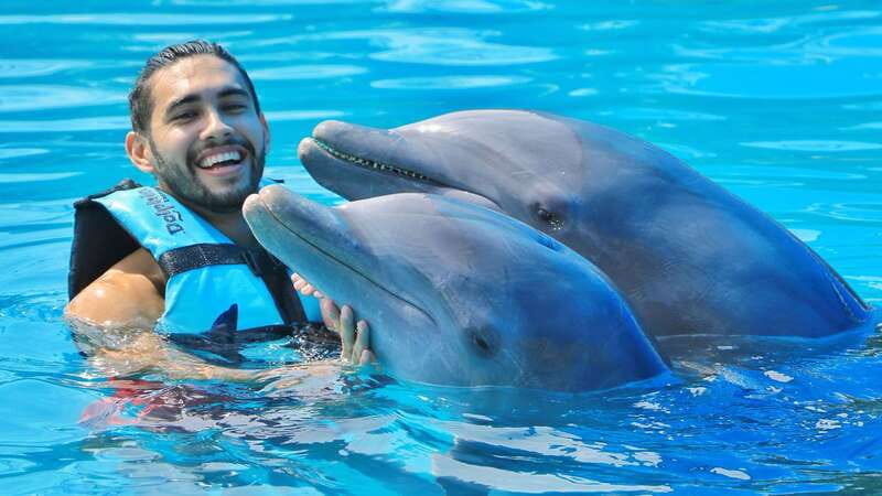 Cozumel: Dolphin Royal Connection and Manatee Interaction - The must-know dolphin rules: no cameras, no sunscreen, and a real height cutoff