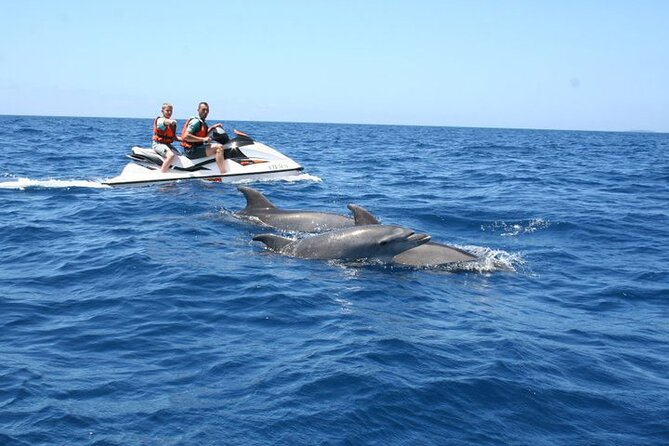 Crab Island Dolphin Jet Ski Adventure - Key Highlights to Know Before You Go