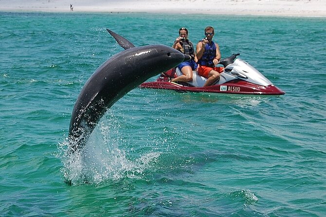Crab Island Dolphin Jet Ski Adventure - Crab Island and Santa Rosa Sound: Where You Look for Dolphins