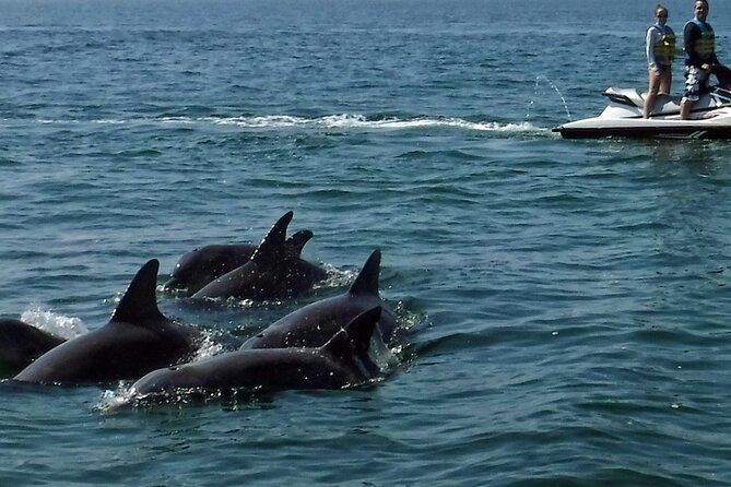 Crab Island Dolphin Jet Ski Adventure - Who This Tour Fits Best (and Who Might Want a Different Plan)