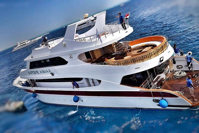 Cruise and Snorkeling with Dolphins Including Lunch from Hurghada - Two snorkeling stops with gear, life jacket, and a real guide