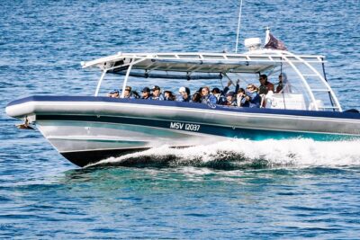 Cruise with Dolphins in Byron Bay - Ballina start: the meeting point you should actually find