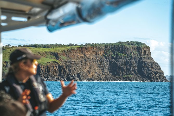 Cruise with Dolphins in Byron Bay - What the cruise experience is really like on board