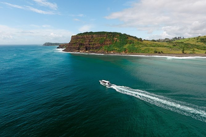 Cruise with Dolphins in Byron Bay - Price and value: what $68.14 buys you here