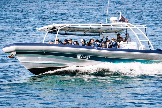 Cruise with Dolphins in Byron Bay - Ballina start: the meeting point you should actually find