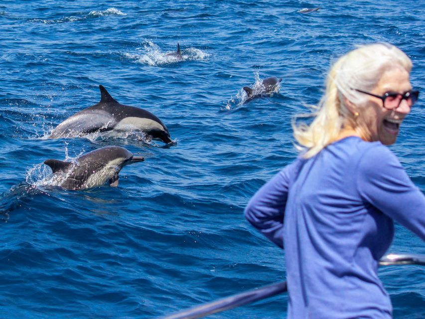 Dana Point Dolphin & Whale Watching With Underwater Viewing - Micro-Museum Time: Artifacts That Help You Watch Better