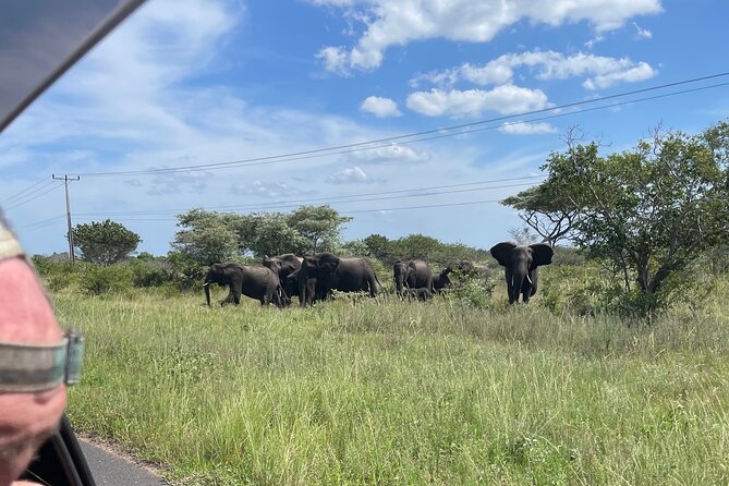 Day Trip to Ponta de Ouro Beach /Dolphin Swim+Snorkel+Whale Watch - Leaving Maputo for the coast: what makes this day trip work