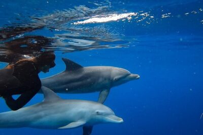 Day Trip to Ponta de Ouro Beach /Dolphin Swim+Snorkel+Whale Watch - The route starts with Maputo landmarks: suspension bridge + city context