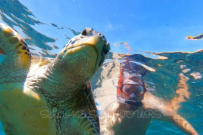 Daymaniyat island Natural Reserve and Dolphin Watching - The dolphin and possible whale-watch hour on open water