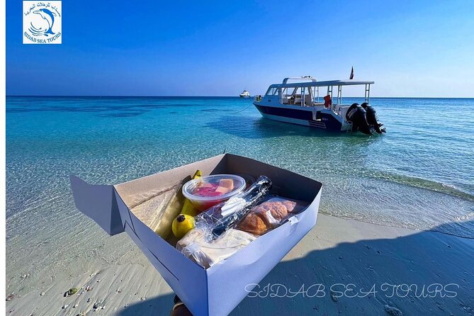 Daymaniyat island Natural Reserve and Dolphin Watching - The return cruise: coastline sightseeing back to Muscat