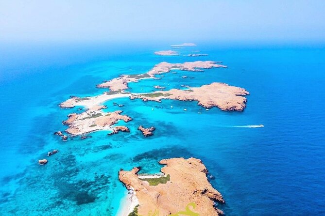 Daymaniyat island Natural Reserve and Dolphin Watching - Price and value: what $125 buys you (and what you should compare)