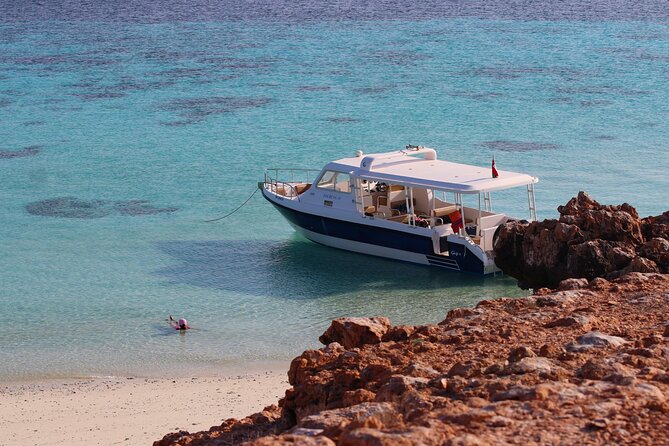 Daymaniyat island Natural Reserve and Dolphin Watching - Leaving Muscat at 08:30 from Marina Bandar Al Rowdha