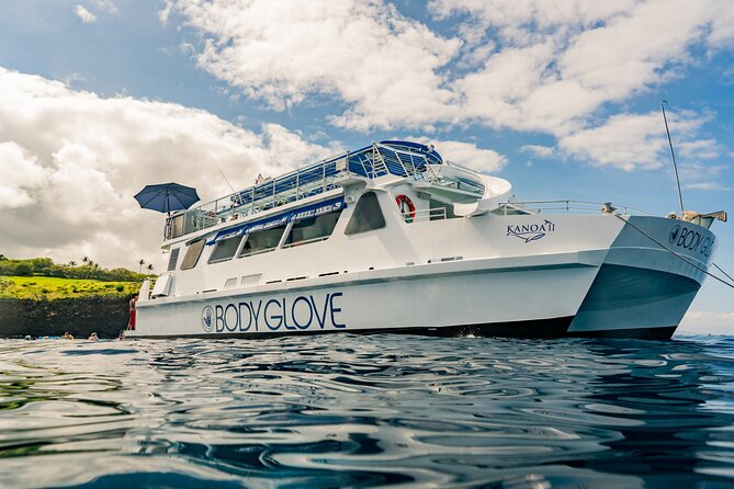 Deluxe Snorkel & Dolphin Watch Aboard a Luxury Catamaran from Kailua-Kona - Getting To Kailua-Kona Pier Without Headaches