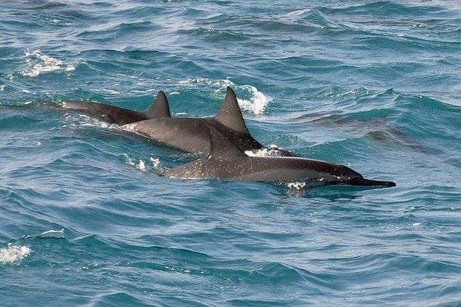 Deluxe Snorkel & Dolphin Watch Aboard a Luxury Catamaran from Kailua-Kona - Onboard Fun You’ll Actually Use: Slide, Jump Platform, and Floating Toys