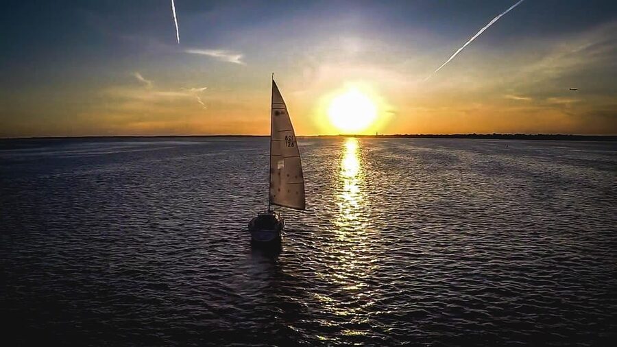 Denia: Sunset Electric Sailboat Cruise with Dolphin Spotting - Dolphins and fin whales: what you’re actually hunting for