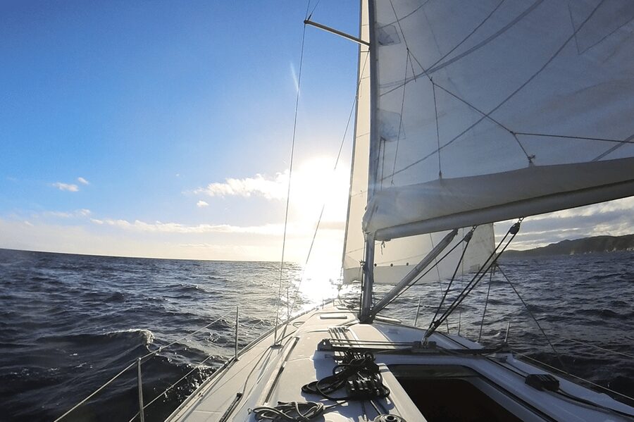 Denia: Sunset Electric Sailboat Cruise with Dolphin Spotting - The hydrophone moment: hearing the sea instead of just watching it