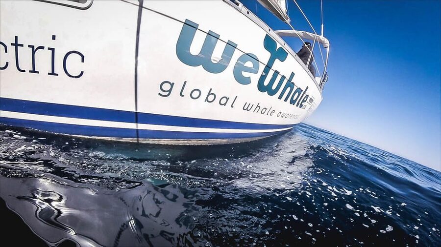 Denia: Whale and Dolphin Watching Morning Experience - Practical Tips That Make This Morning Smoother