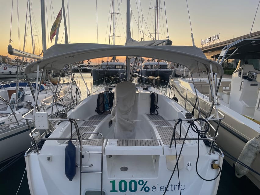 Denia: Whale and Dolphin Watching Morning Experience - The Hydrophone Masterclass: Hear What Most People Never Do