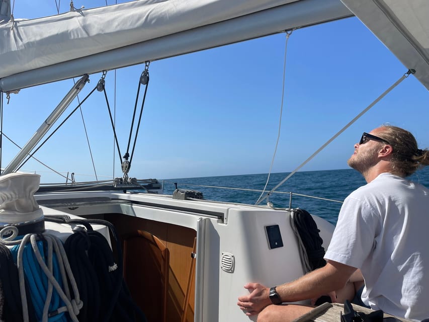 Denia: Whale and Dolphin Watching Morning Experience - Price and Value: What $112 Buys You in Denia