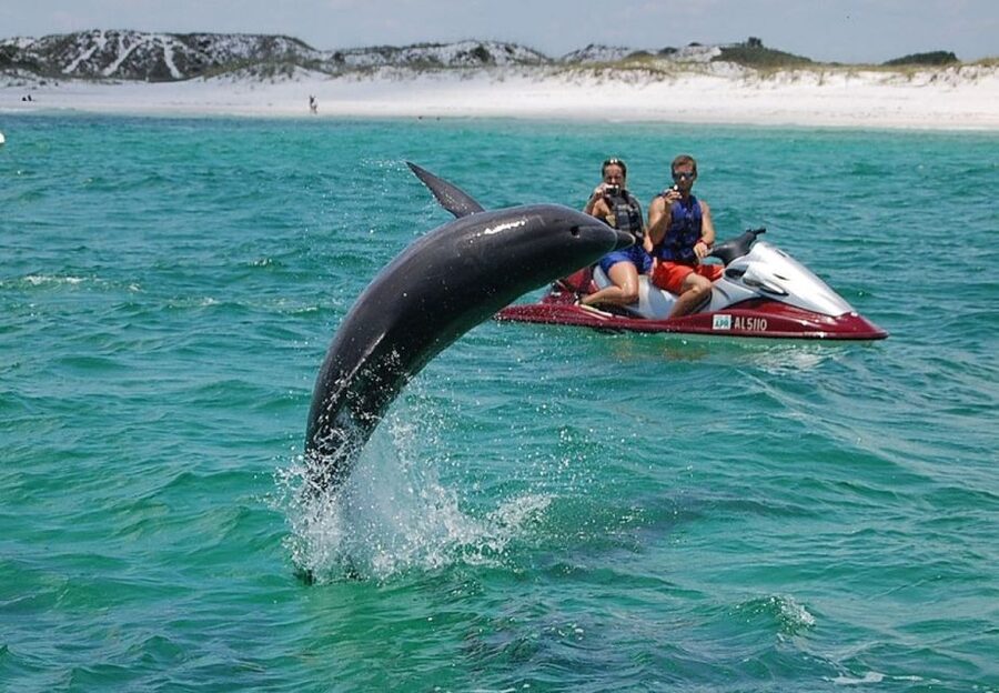 Destin: Crab Island Dolphin Jet Ski Tour - Key Highlights You’ll Actually Care About