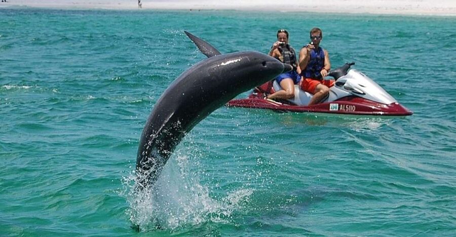 Destin: Crab Island Dolphin Jet Ski Tour - Where You Launch: Destiny Water Adventures by the Beach