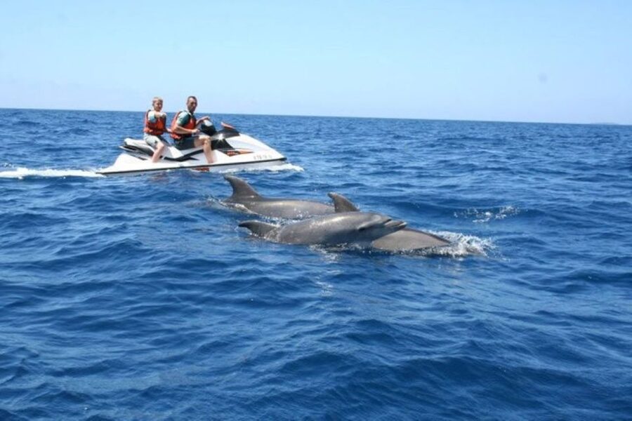 Destin: Crab Island Dolphin Jet Ski Tour - Price and Value: What $203 Buys You on the Water