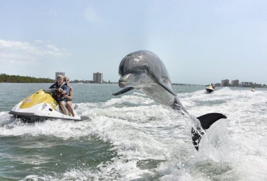 Destin: Crab Island Dolphin Jet Ski Tour - Cancellation Flexibility and Timing That Works for Real Trips