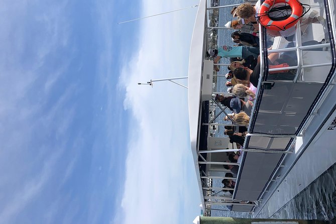 Destin Dolphin Cruise - Beyond Dolphins: Sharks, Rays, Jellyfish, and That Crab Island Moment