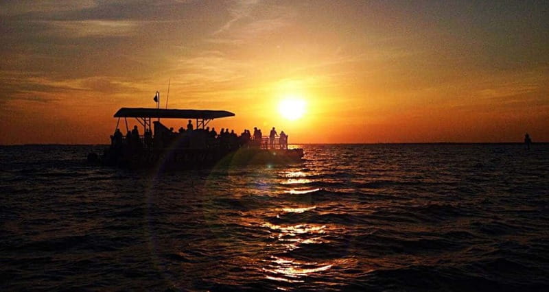 Destin: Dolphin Watching Cruise - The 45-Foot Boat Setup: Space, Shade, and Real Spotting