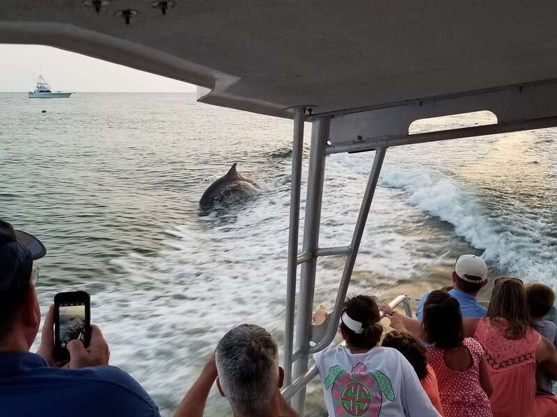Destin: Dolphin Watching Cruise - Captain and Crew: Why Their Personality Helps Sightings