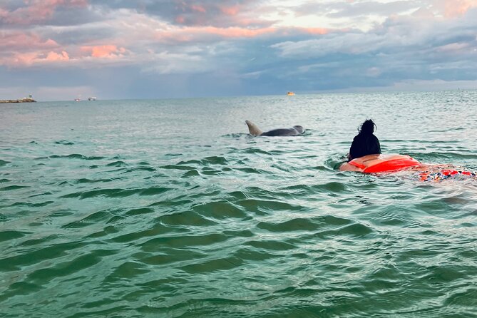 Destin Private Boat Tours Dolphin Crab Island Snorkel Sunset - Key Highlights You Should Know