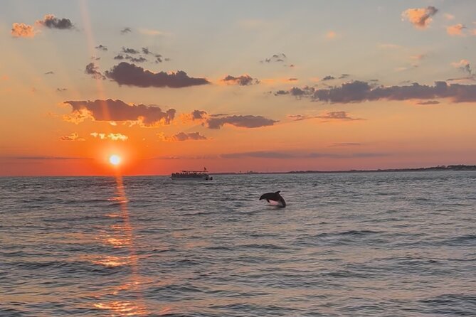 Destin Private Boat Tours Dolphin Crab Island Snorkel Sunset - Private Boat Tours in Destin: What You’re Really Buying for $385