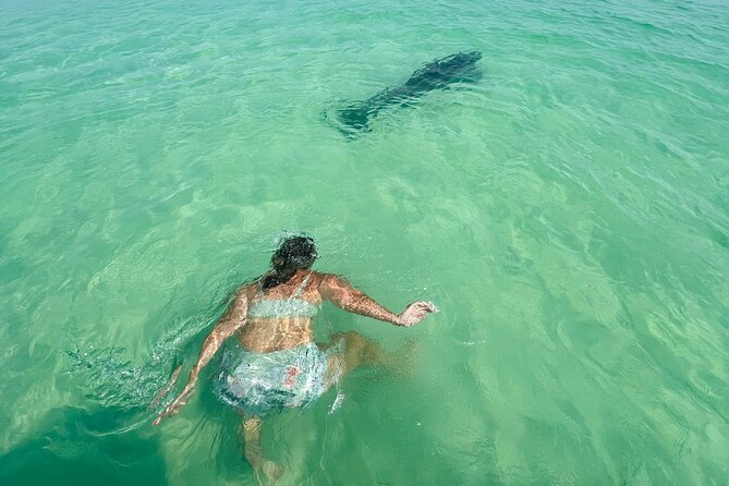 Destin Private Boat Tours Dolphin Crab Island Snorkel Sunset - Snorkeling With a Local Plan: Making Water Time Easy